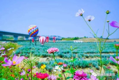 2023年7月我司为尖山湖景区提供语音导览系统！